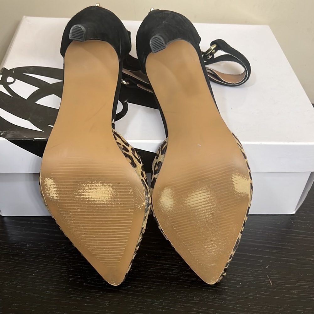 Leopard shies - Picture 6 of 6